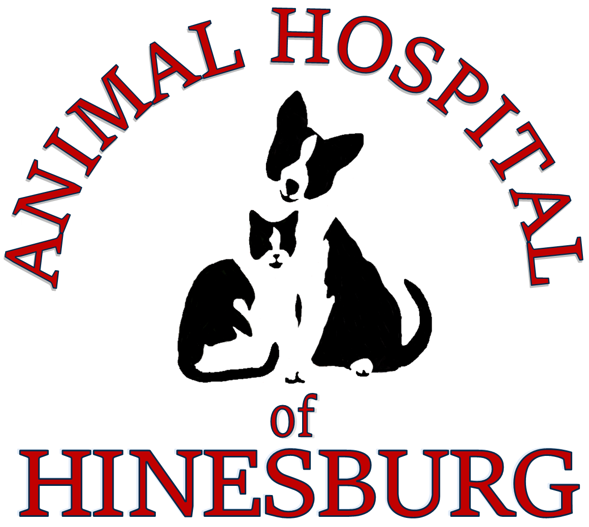 Animal Hospital of Hinesburg