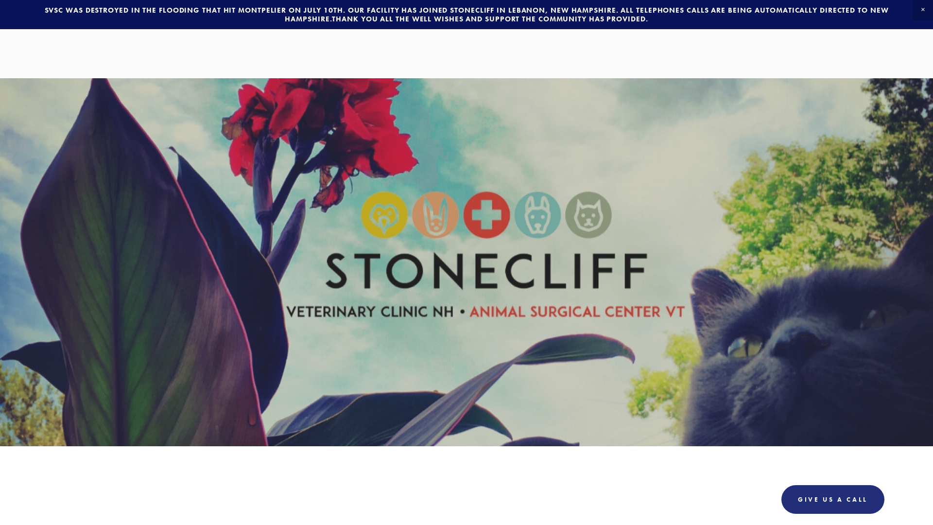 Stonecliff Veterinary Surgical Center